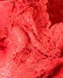 Raspberry Sorbet Sale