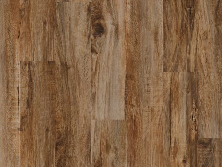 COREtec Plus  5 in. x 48 in. Waterproof Vinyl Plank - Durban Pear Online now