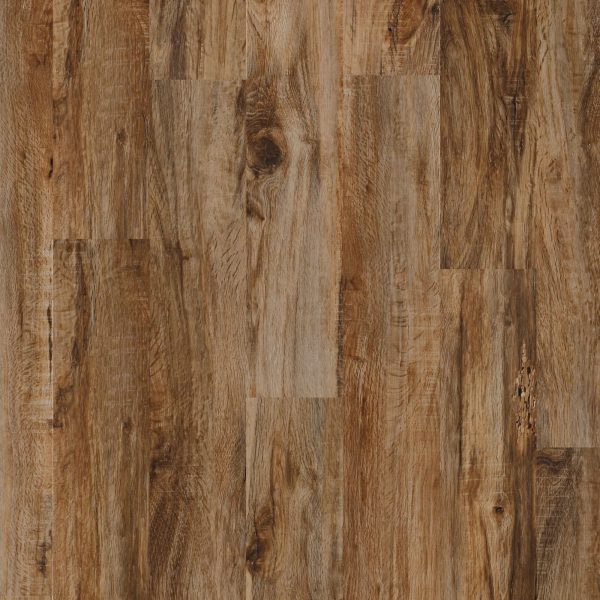 COREtec Plus  5 in. x 48 in. Waterproof Vinyl Plank - Durban Pear Online now