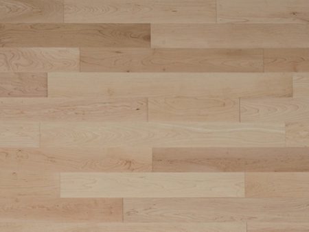 Ua Floors - Grecian Series - Maple Natural Sale