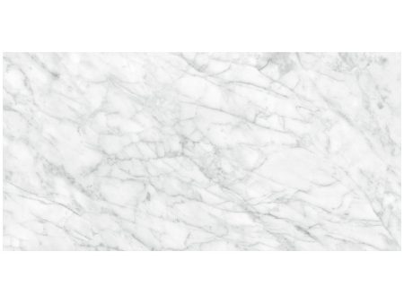 Anatolia - Plata 24 in. x 48 in. Glazed Porcelain Rectified Tile - Carrara Abisso Polished For Sale