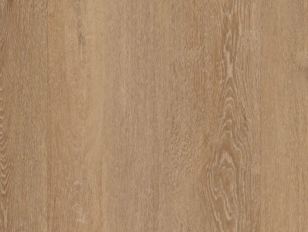 COREtec Plus HD 7  - Zawn Oak For Discount