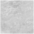 Anatolia - Plata 24 in. x 24 in. Glazed Porcelain Rectified Tile - Perla Grigia Polished Online Sale