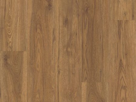 COREtec Plus  7 in. x 48 in. Waterproof Vinyl Plank - Marsh Oak Online now