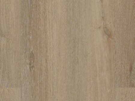 COREtec Plus Premium 7  - Draco Oak Online now