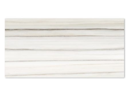 Tesoro - Mayfair 12 in. x 24 in. Porcelain Tile - Zebrino Matte Online Sale