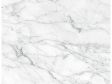 Anatolia - Plata 24 in. x 24 in. Glazed Porcelain Rectified Tile - Carrara Abisso Matte Online Sale