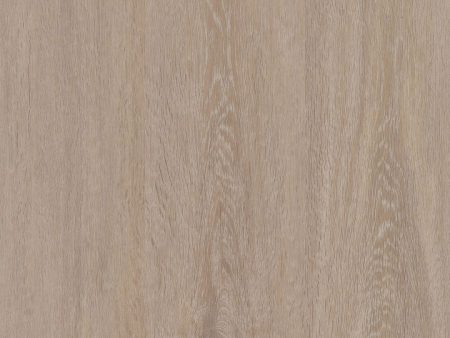 COREtec Plus Premium 7  - Allegiant Walnut Supply