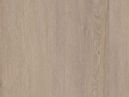 COREtec Plus Premium 7  - Bosc Oak Online now