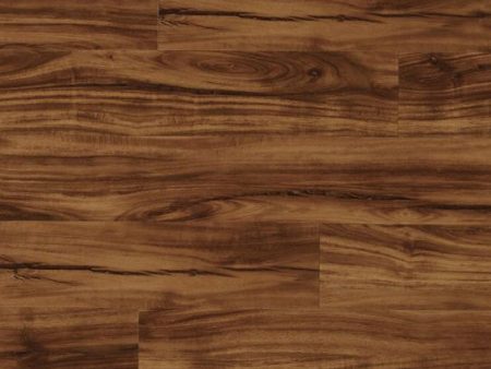 COREtec Plus  5 in. x 48 in. Waterproof Vinyl Plank - Gold Coast Acacia Sale