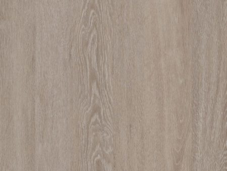 COREtec Plus Premium 7  - Briar Oak Online Sale