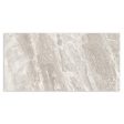 Tesoro - Mayfair 12 in. x 24 in. Porcelain Tile - Stella Argento Matte Supply