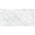 Anatolia - Plata 24 in. x 48 in. Glazed Porcelain Rectified Tile - Carrara Abisso Matte Hot on Sale