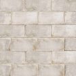 Bedrosians Tile & Stone - Vivace 4  x 9  Floor & Wall Tile - Fossil Fashion