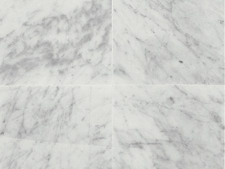 Daltile - Carrara White 12 in. x 12 in. - Polished Online Sale