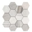 Tesoro Metropolitan Contempo - Terra Nova  Skyline Multi Finish 3 in. Hex Blend Mosaic Supply