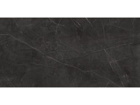 Anatolia - La Marca Glazed Porcelain 24 in. x 48 in. Honed Tile - Nero Venato Supply