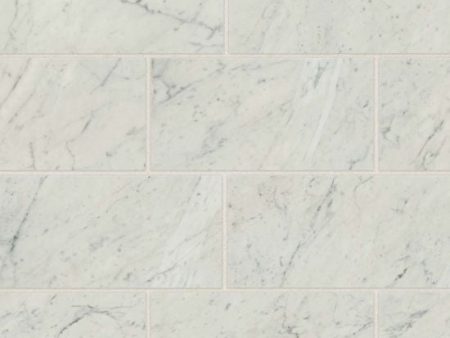 Bedrosians - Classic 2.0 12  x 24  Floor & Wall Tile - Bianco Carrara Polished Discount