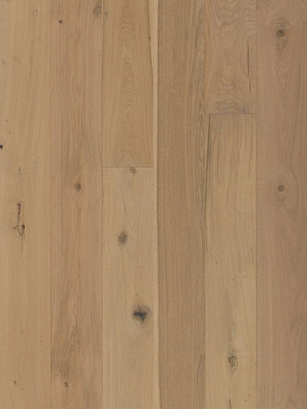 Avalon European Oak Tristan Online