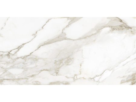 Anatolia - La Marca Glazed Porcelain 24 in. x 48 in. Polished Tile - Calacatta Paonazzo Online Hot Sale