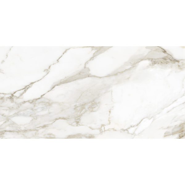 Anatolia - La Marca Glazed Porcelain 24 in. x 48 in. Polished Tile - Calacatta Paonazzo Online Hot Sale