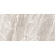 Anatolia Mayfair 12 in. x 24 in. HD Rectified Porcelain Tile - Stella Argento (Matte) Supply