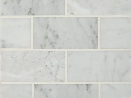 Daltile - Carrara White 3 in. x 6 in. - Polished Hot on Sale