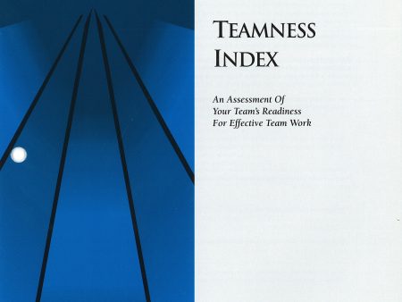 Self-Survey>> Teamness Index (TI) Hot on Sale