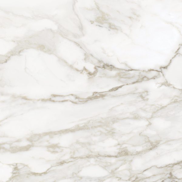 Anatolia - La Marca Glazed Porcelain 32 in. x 32 in. Polished Tile - Calacatta Paonazzo Hot on Sale