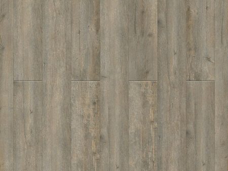 Engineered Floors - Cascade Collection - 7 in. x 48 in. - Playa Online now