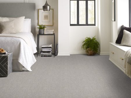 *Closeout Carpet* Shaw Stardom - Stone - $1.40 per SF ($12.60 per SY) on Sale