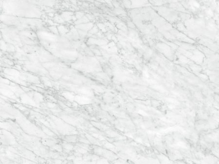 Anatolia - La Marca Glazed Porcelain 32 in. x 32 in. Honed Tile - Carrara Gioia For Sale