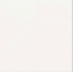 Lungarno Ceramics - Finish Line 24 in. x 24 in. Unpolished Porcelain Tile - Alpine White Online Sale