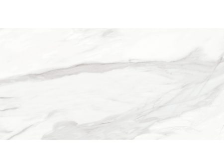 Anatolia Mayfair 24 in. x 48 in. HD Rectified Porcelain Tile - Volakas Grigio (Polished) Hot on Sale