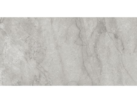 Anatolia - La Marca Glazed Porcelain 24 in. x 48 in. Polished Tile - Paradiso Argento Online