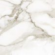 Anatolia - La Marca Glazed Porcelain 24 in. x 24 in. Honed Tile - Calacatta Paonazzo on Sale