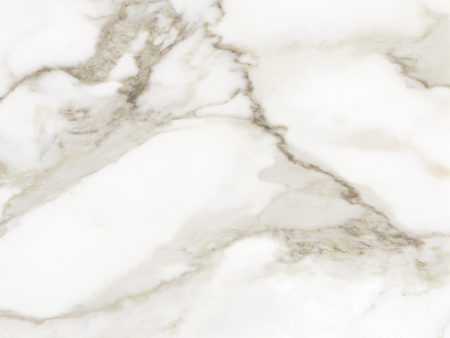 Anatolia - La Marca Glazed Porcelain 24 in. x 24 in. Honed Tile - Calacatta Paonazzo on Sale