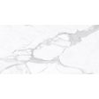 Anatolia - La Marca Glazed Porcelain 24 in. x 48 in. Honed Tile - Statuario Nuovo For Discount