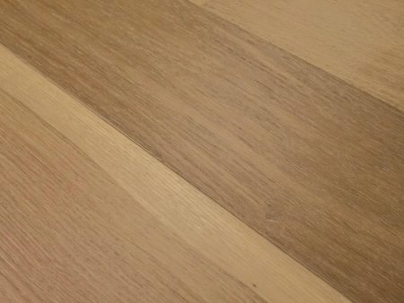 Avalon European Oak Percival Online now