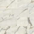 Bedrosians - Classic 2.0 12  x 24  Floor & Wall Tile - Calacatta Oro Matte For Cheap