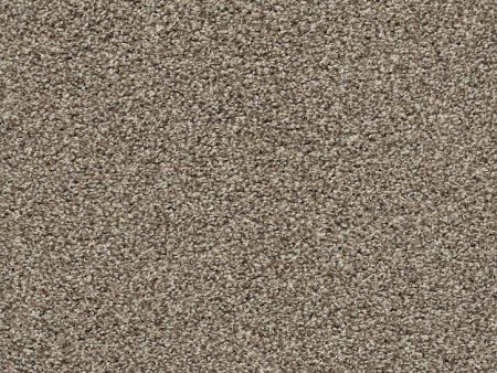 *Closeout Carpet* Shaw- Spellbound - Chic Taupe - $1.15 per SF ($10.35 SY) Hot on Sale