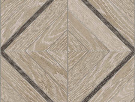 Anatolia Aspen 16 in. x 16 in. HD Porcelain Marquetry Mosaics - Paper Birch Hot on Sale