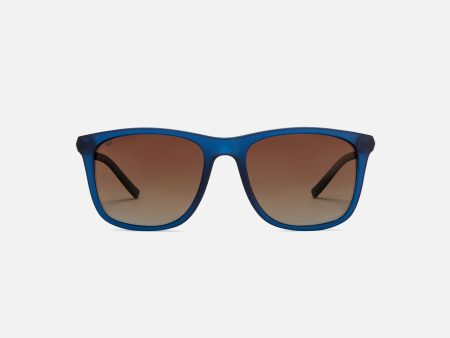 Blue Full Rim Wayfarer Supply