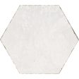 Tesoro - Spring Time Hex Porcelain Tile - White Online