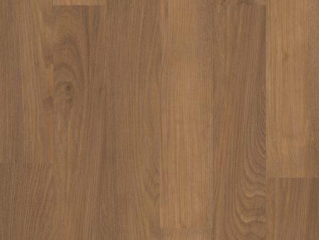 TRUCOR by Dixie Home - 5 Series - Russet Oak Online now