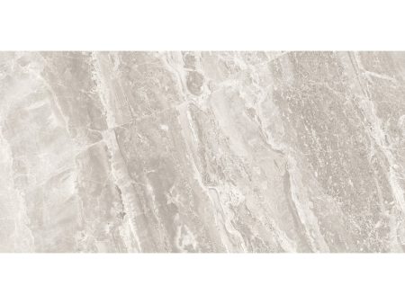 Anatolia Mayfair 12 in. x 24 in. HD Rectified Porcelain Tile - Stella Argento (Polished) Fashion