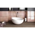 Bedrosians Tile & Stone - Cloe 2.5  x 8  Wall Tile - Pink Online