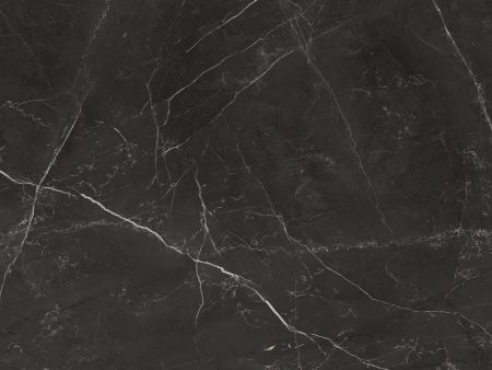 Anatolia - La Marca Glazed Porcelain 24 in. x 24 in. Honed Tile - Nero Venato Fashion