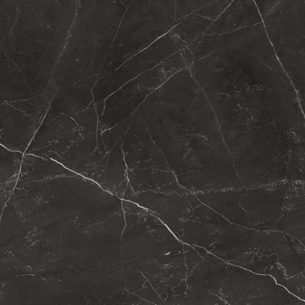 Anatolia - La Marca Glazed Porcelain 24 in. x 24 in. Honed Tile - Nero Venato Fashion