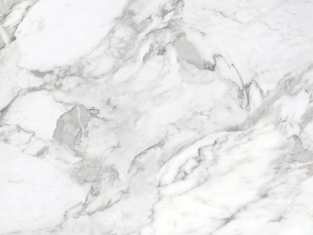 Anatolia - La Marca Glazed Porcelain 32 in. x 32 in. Polished Tile - Arabescato Discount